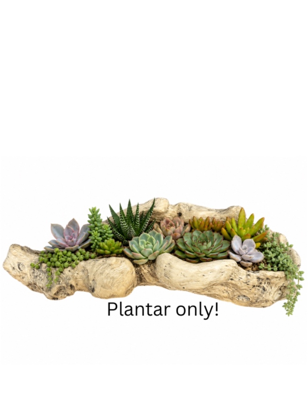 Handcrafted Driftwood-Style Succulent Planter – 13" Long – Rustic Natural Décor